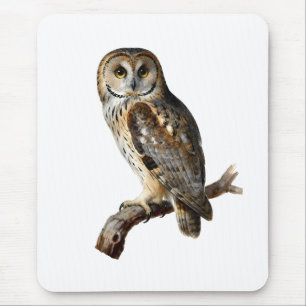 Mousepad “Randolph” - Um Silêncio Vigilante, Retrato de uma