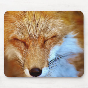Mousepad Raposa
