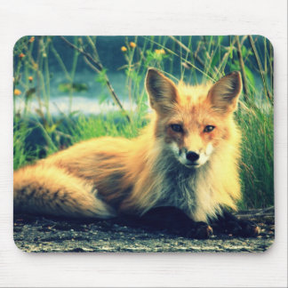 Mousepad Raposa alaranjada