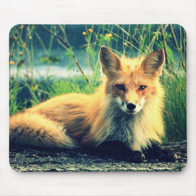 Mousepad Raposa alaranjada (Frente)