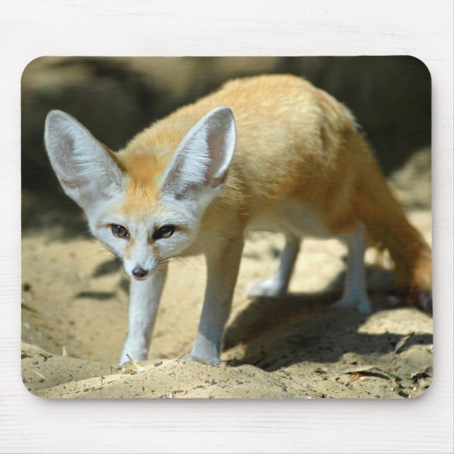 Mousepad Raposa de Fennec (Frente)