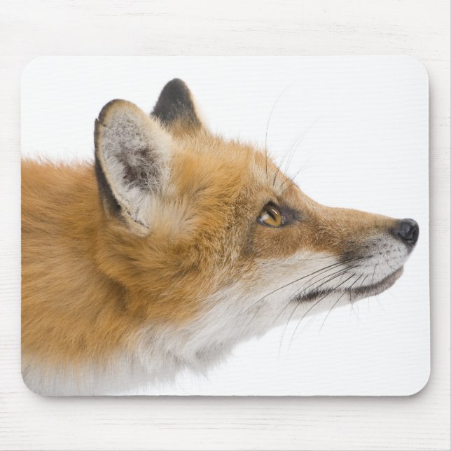 Mousepad Raposa vermelha (Frente)