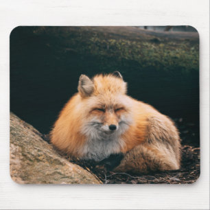Mousepad Raposa Vermelha Dormindo