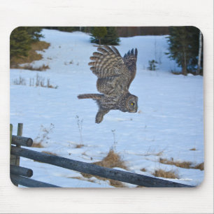 Mousepad Raptor de Cinza e Excelente de neve