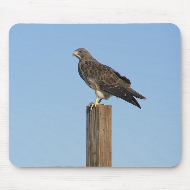 Mousepad Raptor empoleirando-se (Frente)