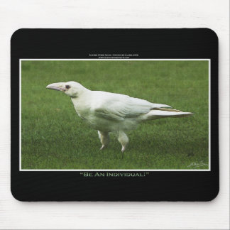 Mousepad Raras Fotografia de Vida Selvagem Branca