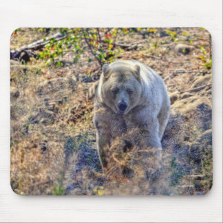 Mousepad Rare Kermode Bear (Spirit Bear)