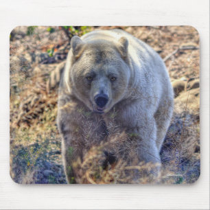 Mousepad Rare Kermode Bear (Spirit Bear)