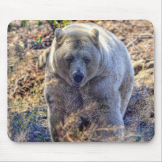Mousepad Rare Kermode Bear (Spirit Bear)