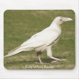 Mousepad Raros Brancos