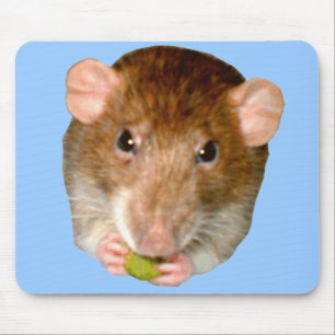 Mousepad Rat Hungry