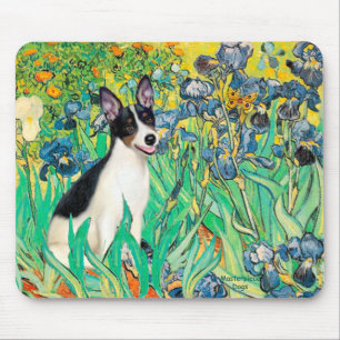 Mousepad Rat Terrier - Irrisões