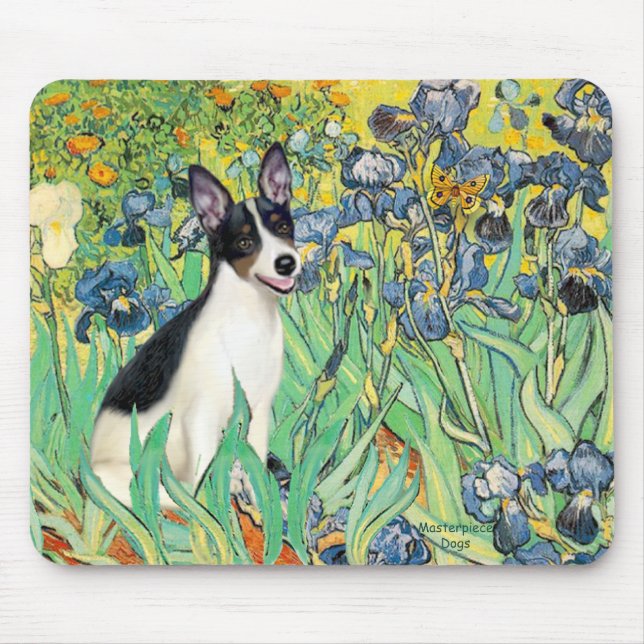 Mousepad Rat Terrier - Irrisões (Frente)