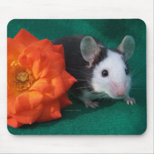 Mousepad Rato branco preto e rosa de chá alaranjado