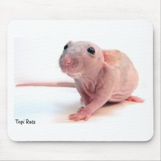 Mousepad Rato calvo