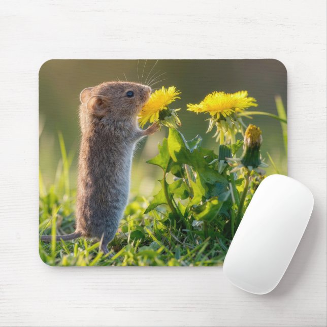 Mousepad Rato Cheirando um Dente-de-Leão Amarelo (Com mouse)