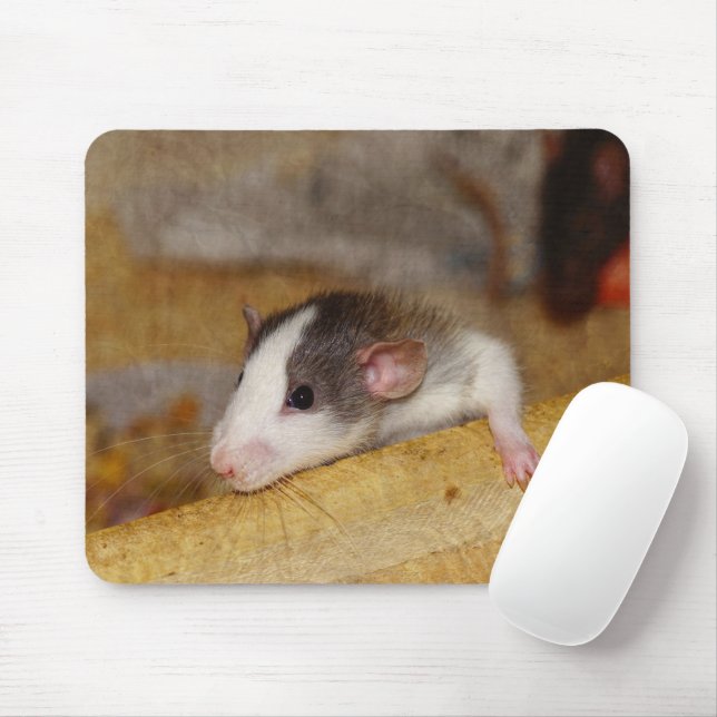 Mousepad Rato Cujo (Com mouse)