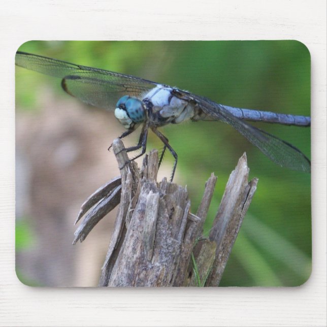 Mousepad Rato da mosca (Frente)