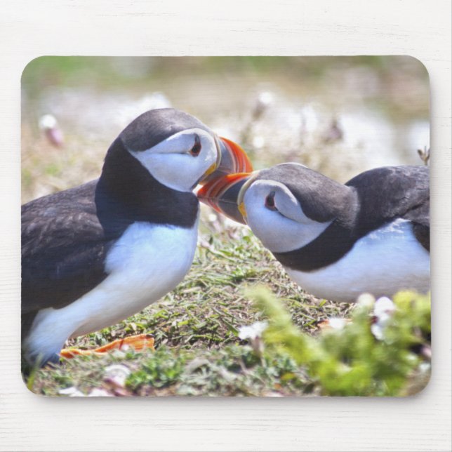 Mousepad Rato de Borracha de Papagaios-do-mar Beijando (Frente)