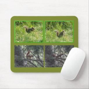 Mousepad Rato de Borracha Esquilos Marrom e Vermelho