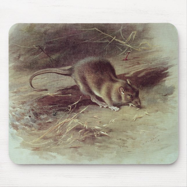 Mousepad Rato de Brown 1918 (Frente)