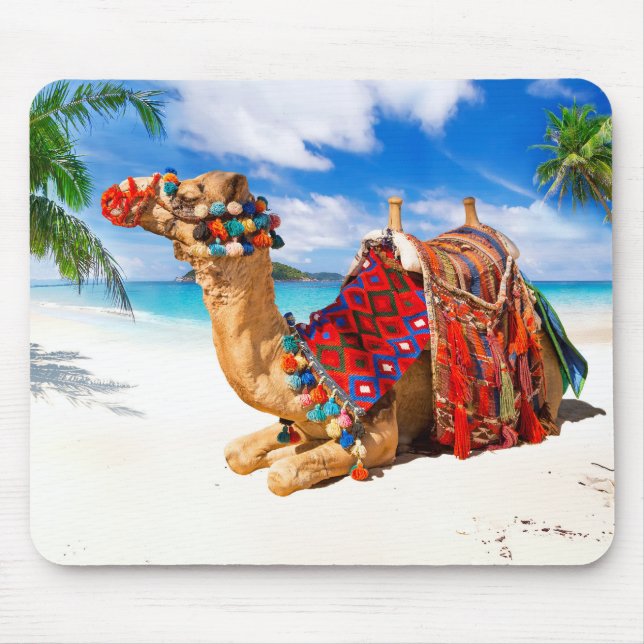 Mousepad Rato de Camelo Marroquino (Frente)