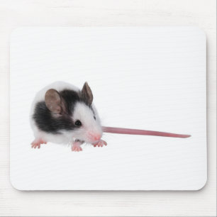 Mousepad Rato de casa