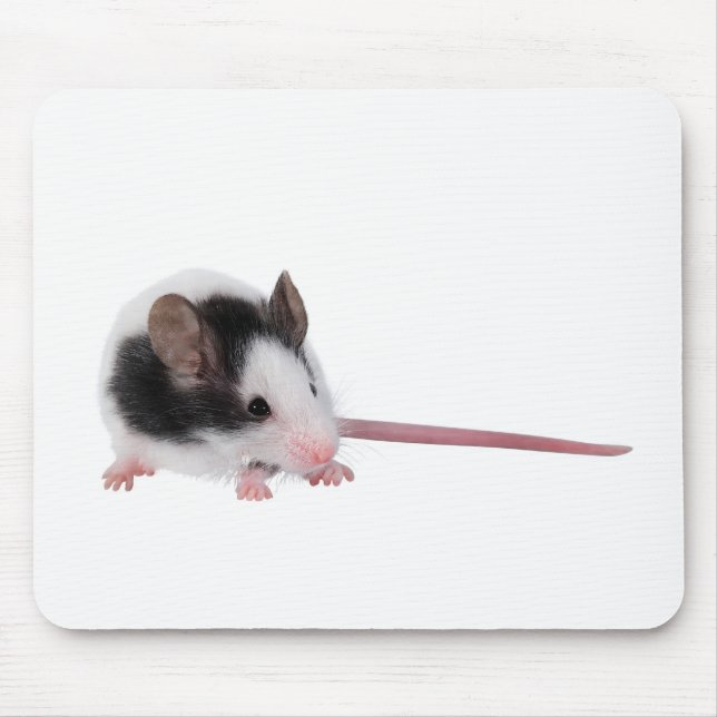 Mousepad Rato de casa (Frente)