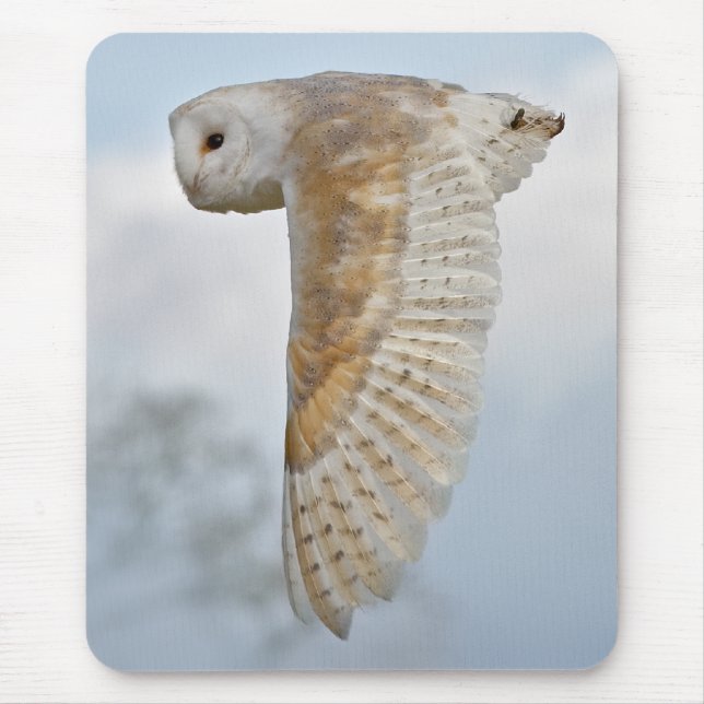 Mousepad Rato de Computador com Tyto-alba em Voo (Frente)
