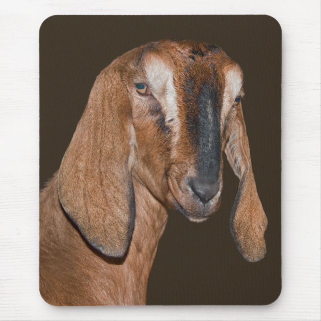 Mousepad Rato de computador de Cabra Núbia (Frente)