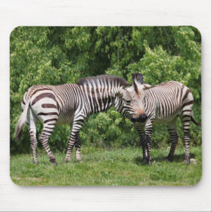 Mousepad Rato de Mousa Zebras Apaixonadas