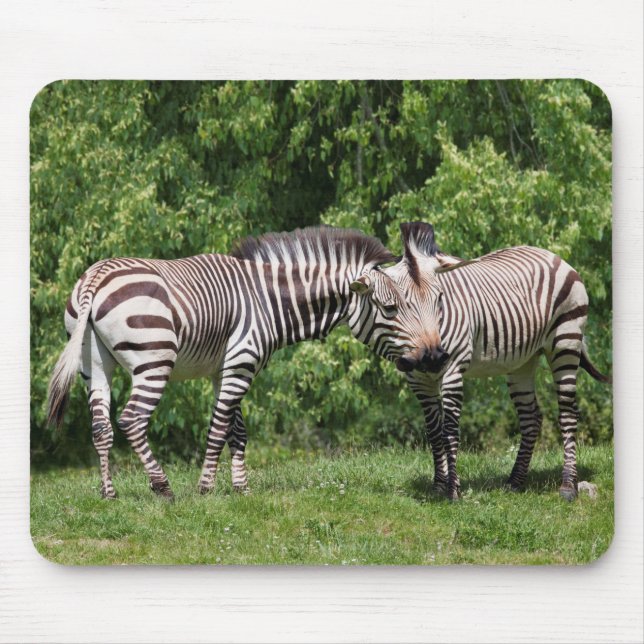 Mousepad Rato de Mousa Zebras Apaixonadas (Frente)