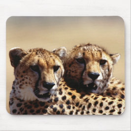 Mousepad Rato de Par de Guepardos Fofos