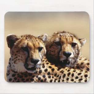 Mousepad Rato de Par de Guepardos Fofos