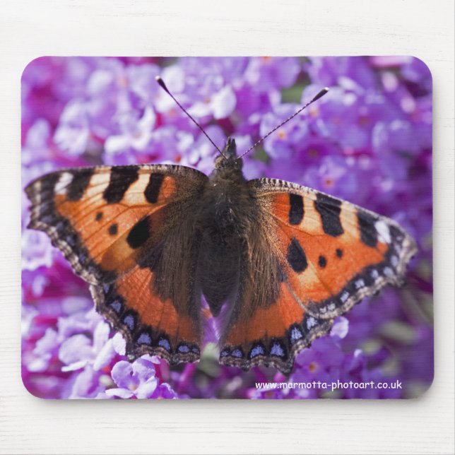 Mousepad Rato de Tortoiseshell (Frente)
