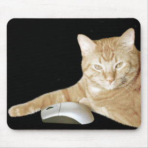 Mousepad Rato do gato e do computador