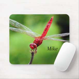 Mousepad Rato Dragonfly Verde e Vermelho