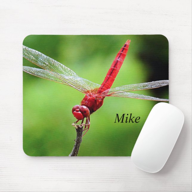 Mousepad Rato Dragonfly Verde e Vermelho (Com mouse)