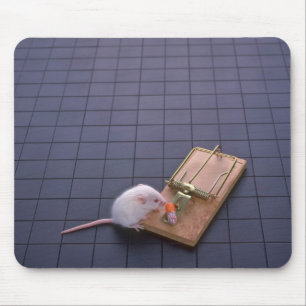 Mousepad Rato e armadilha