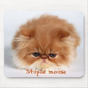 Mousepad Rato estúpido