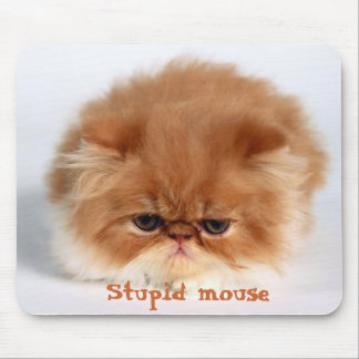 Mousepad Rato estúpido