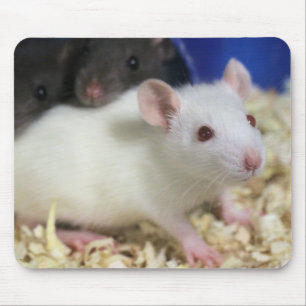 Mousepad Rato pequeno