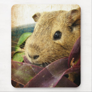 Mousepad Rato Pig Guiné