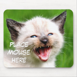 Mousepad Rato Siamese do lugar do gatinho do gato engraçad