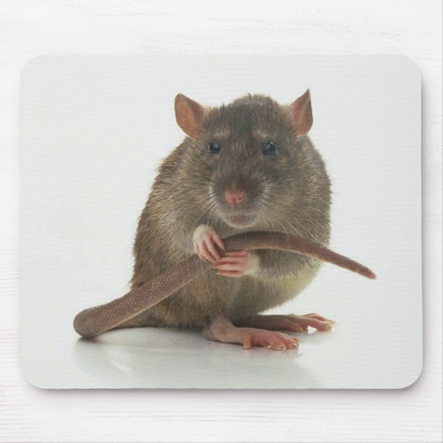 Mousepad Ratos! (Frente)