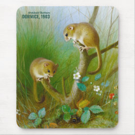 Mousepad Ratos Archibald Thorburn Cute (Dormice 1903) CC015