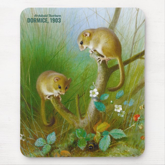 Mousepad Ratos Archibald Thorburn Cute (Dormice 1903) CC015 (Frente)