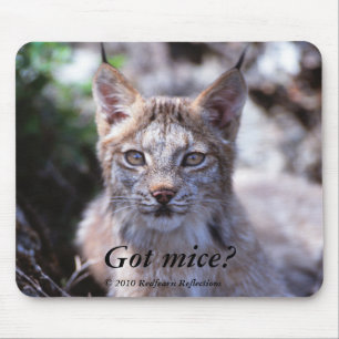 Mousepad Ratos obtidos? ,