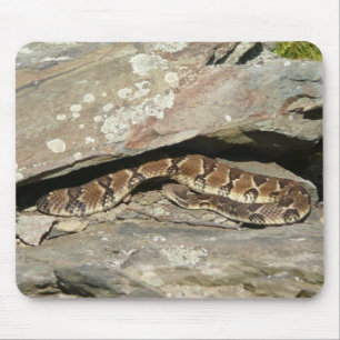 Mousepad Rattlesnake no Parque Nacional de Shenandoah