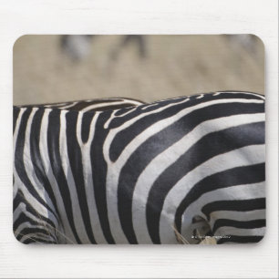 Mousepad Rebanho das zebras que pastam, reserva do jogo de